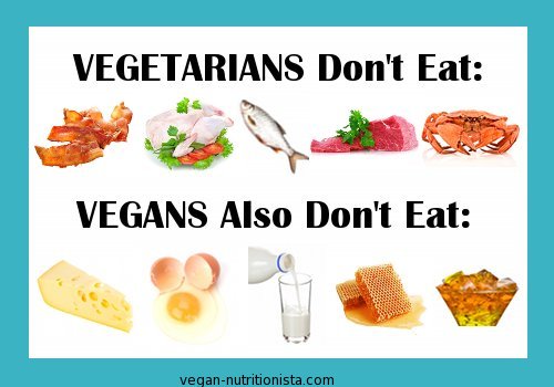 Vegan vs Vegetarian – A New Vegetarian Lifestyle